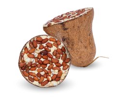 8 - 24 st. Lyra Pet® Energy Boost voederbel met pinda's