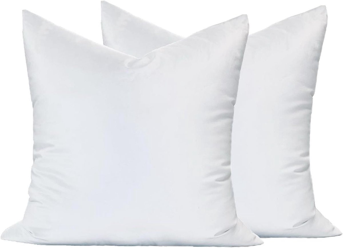 Kussens Synthetisch Dons - Decoratieve Kussens Bankkussens - Meubels Aankleden - Hypoallergeen Donsalternatief - 60 x 60 cm - Wit