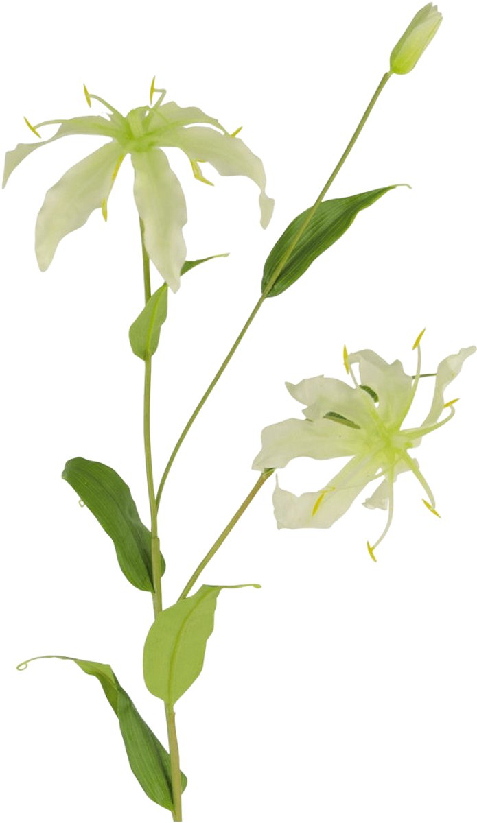 Easyplants | Kunstbloem Gloriosa 81 cm wit | Zijde | Nepbloemen | wit | Onderhoudsvrij | Kant-en-klaar