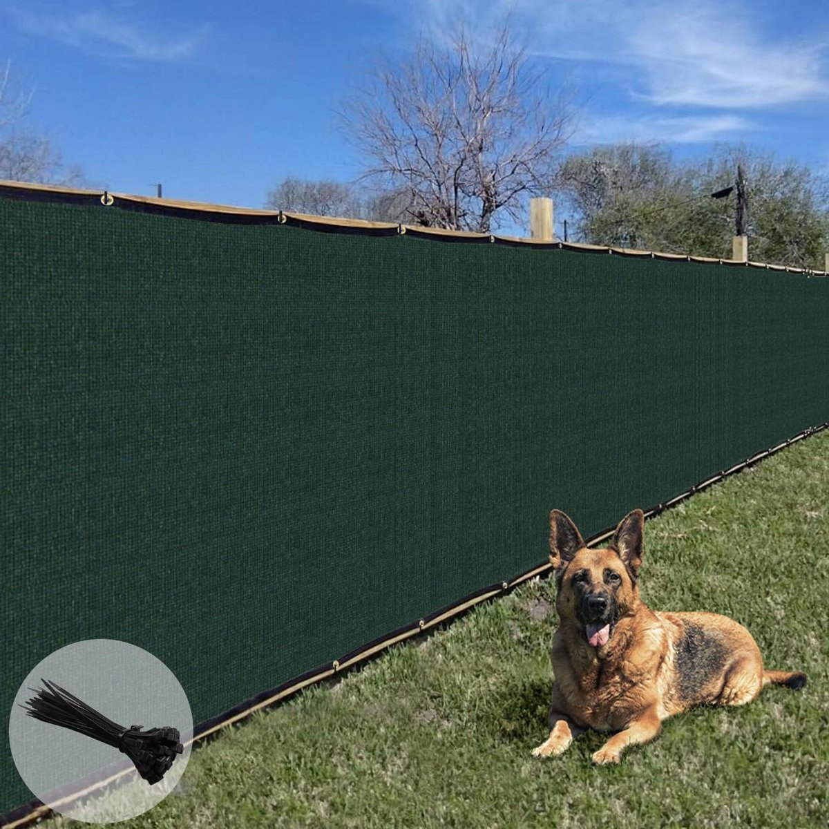 Privacy Hek Screen - Scherm Winddoek - Privacy Creëren - UV-gestabiliseerd Materiaal - 8'x50' - Groen