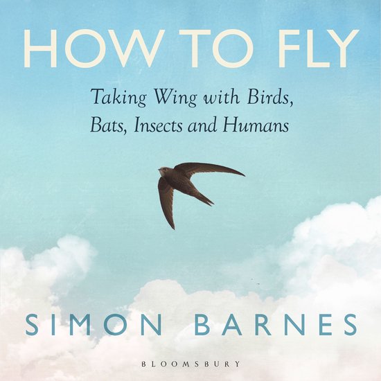 How to Fly - cover