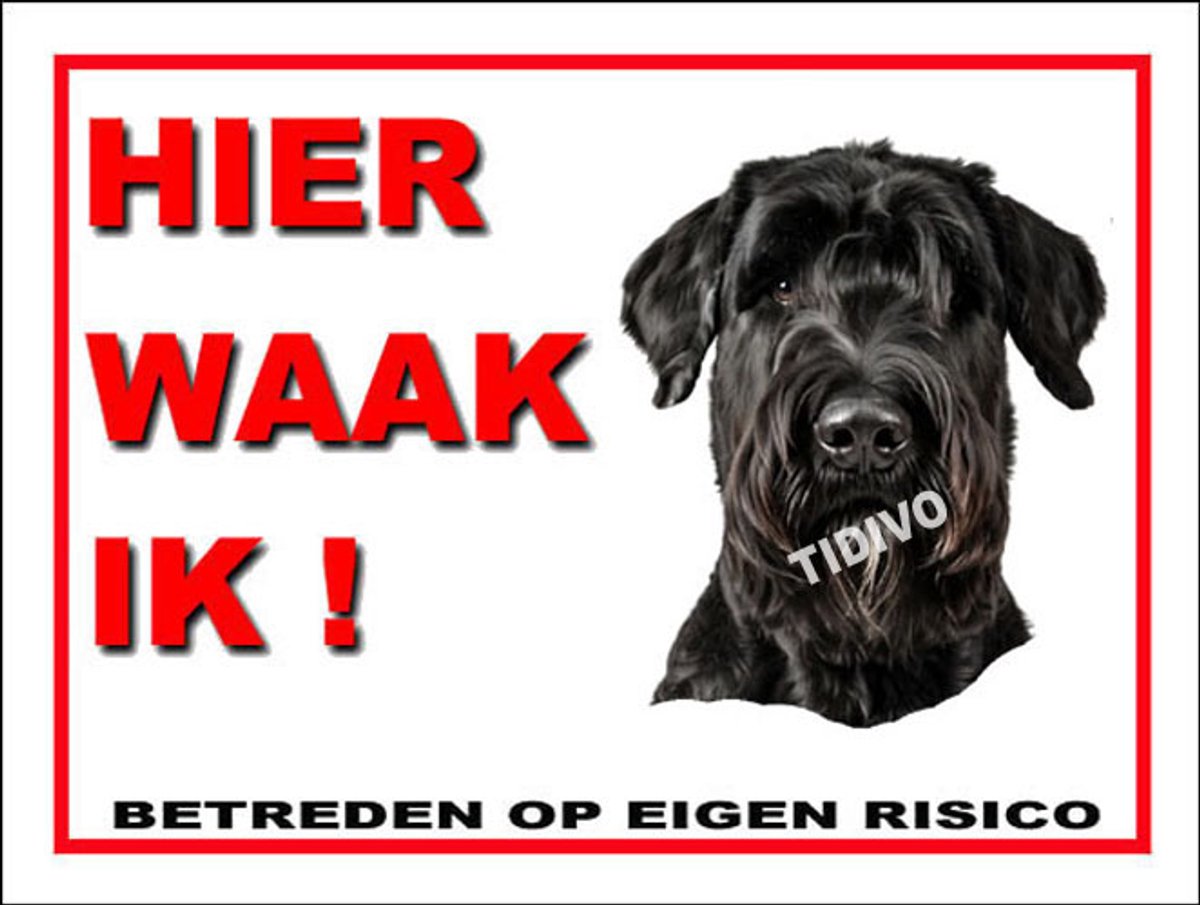 Riesenschnauzer 3