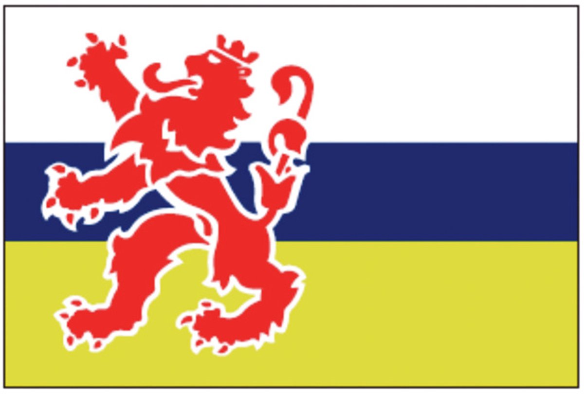 Limburgse vlag 20x30