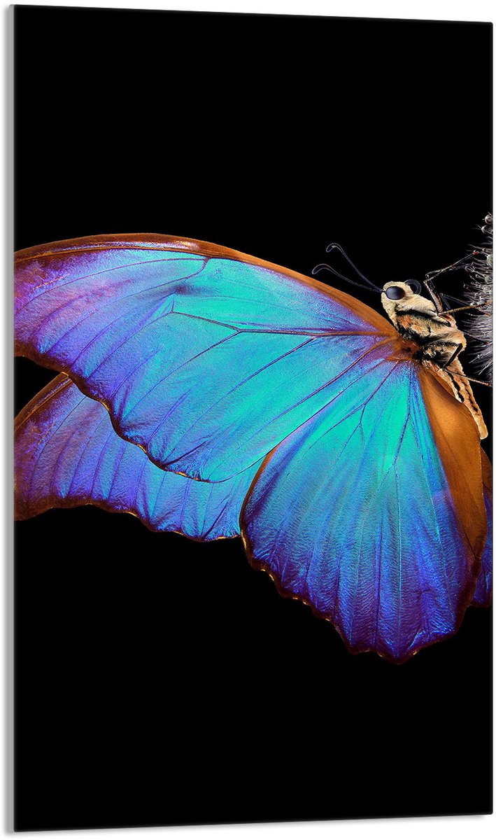 TMK ArtDeko - Snijplank - Glass - Motief - 30x52 cm