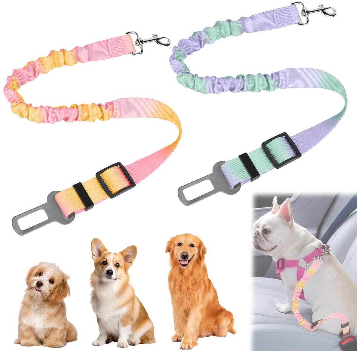 Allecto - Auto Hond Veiligheidsgordel - Verstelbare Hond Leash - 2 Stuks - Oranje-roze en Groen-paars - Geschikt voor Alle Hondenrassen - Inclusief...
