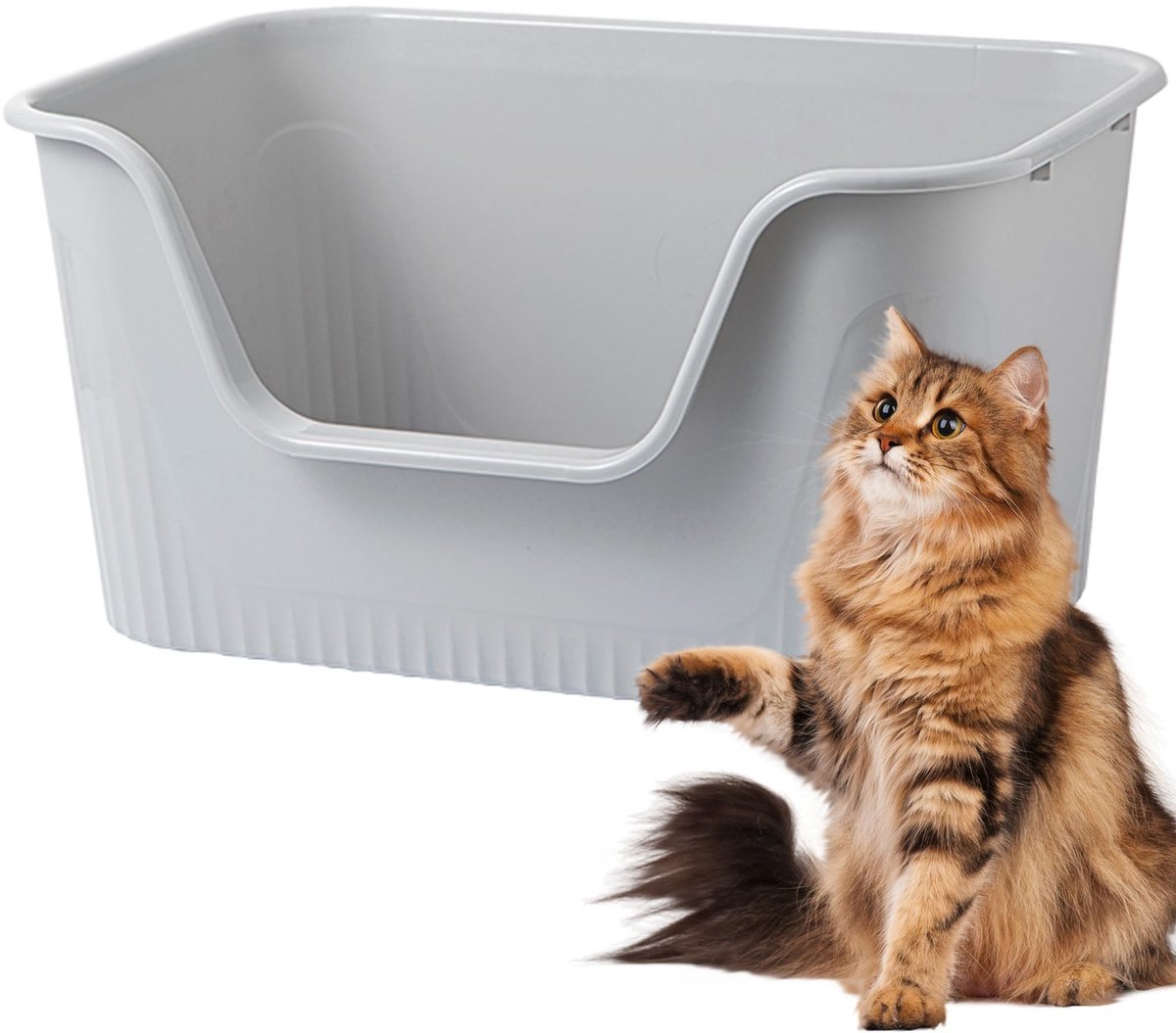 Allecto – Kattenbak – Lekbestendig – Hoge zijden – Grijs – Anti-spat – Geschikt voor kittens – Maat M Allecto – Kattenbak – Lekbestendig – Hoge zijden – Grijs – Anti-spat – Geschikt voor kittens – Maat M