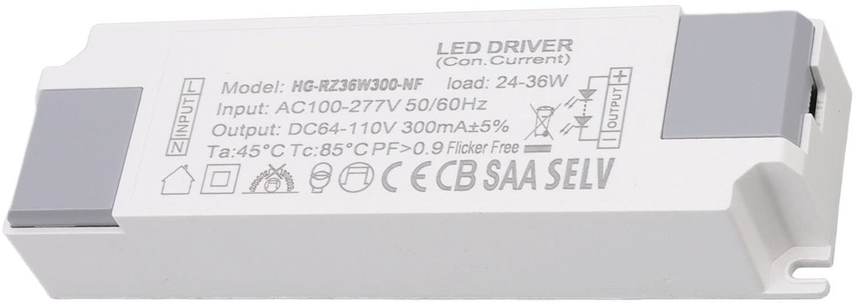 Dailygoody - LED Driver - Voedingstransformator - Compact en lichtgewicht - AC100-277V naar DC64-110V - 300mA output - Ideaal voor LED-verlichting