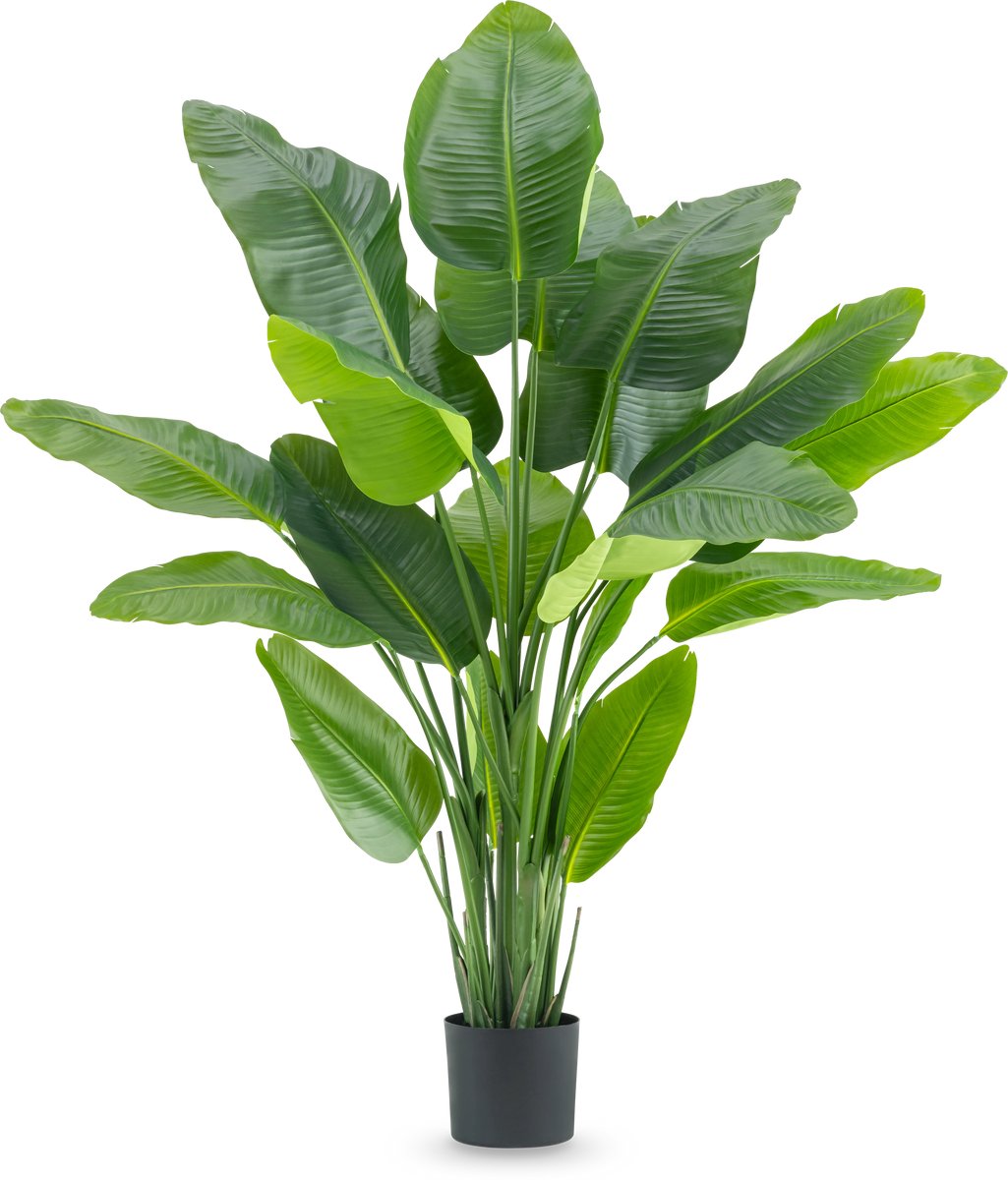 Easyplants | Kunstplant Strelitzia Real Touch Deluxe 180 cm | Zijde | Strelitzia | Groen