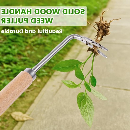 Stainless Steel Onkruidverwijderaar met Handvat en Rubber Grip - Efficiënte Onkruidbestrijding met 5 Tanden - Tuingereedschap voor Wortelverwijdering 25cm — afbeelding 5