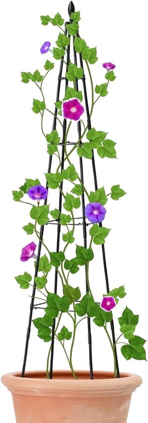 Klimplantsteun - Plantenrek - Planten Ondersteunen - Verstelbare Hoogte - 80-160 cm - Zwart