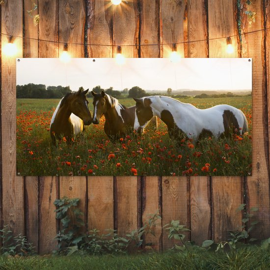 Affiche de clôture Paarden - Fleurs - Soleil - 200x100 cm - Toile de jardin