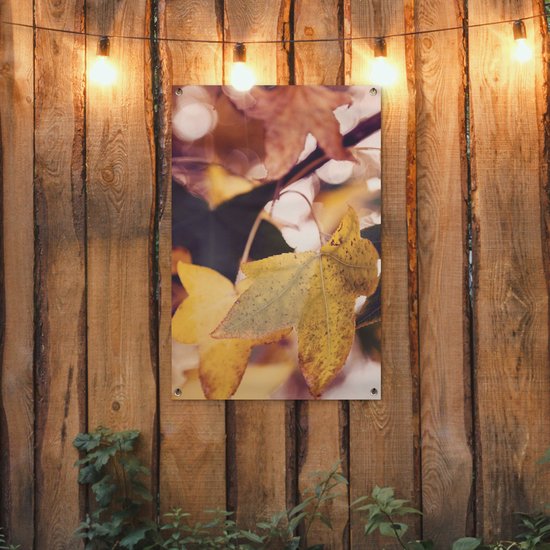 Affiche de jardin - Automne - Feuilles - Esdoorn - Oranje - 60x90 cm - Tableau de jardin - Décoration de jardin