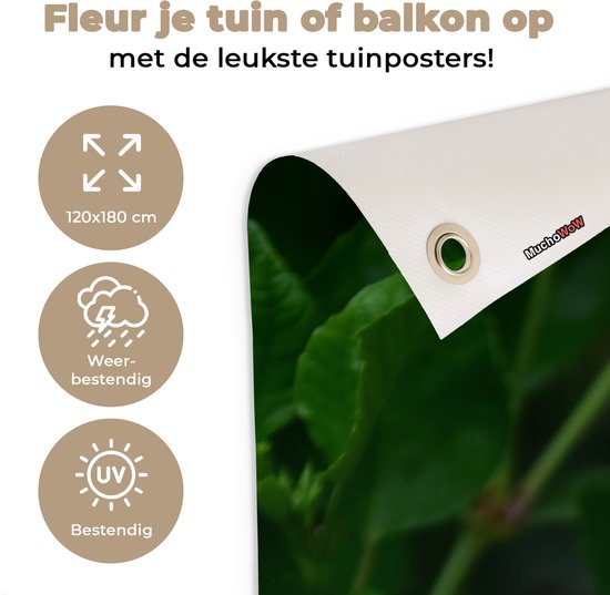 Tuinposter 120x180 cm - Tuindecoratie Teunis bloem tussen de groene planten - Poster voor in de tuin - Buiten decoratie - Schutting tuinschilderij - Tuindoek muurdecoratie - Wanddecoratie balkondoek