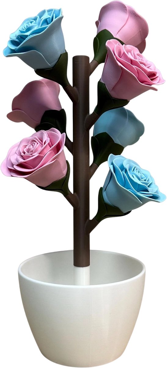 Roos Pillendoosje – 3D Geprint Week Pill Organizer met Magnetische Bloemen – Medicatie Box 7 Dagen (Roze - Blauw)