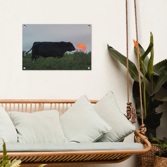Décoration de jardin Vache - Zwart - Soleil - 60x40 cm - Poster jardin - Toile jardin - Poster extérieur
