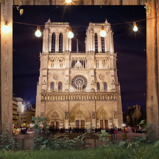 Poster de Jardin Notre Dame le soir - 200x200 cm