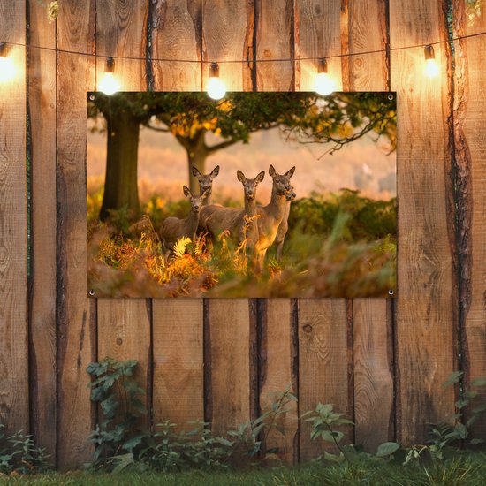 Tuinposter 120x80 cm - Tuindecoratie Herfst - Zon - Herten - Poster voor in de tuin - Buiten decoratie - Schutting tuinschilderij - Tuindoek muurdecoratie - Wanddecoratie balkondoek