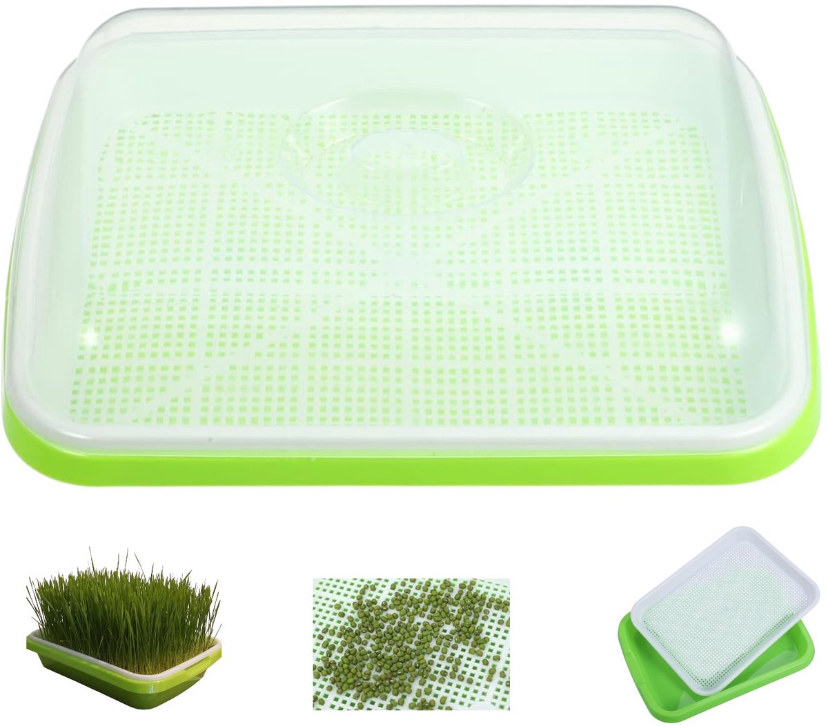 Kiemgroenten Kweekbak - Zaailingenbak - kiemschaaltjes - tauge kweken - Zaaibak - Zaaitray - Zaadkiemtray - Kweekbak - Groen - en bewaartrays voor tuin - huis en kantoor - 25*34cm
