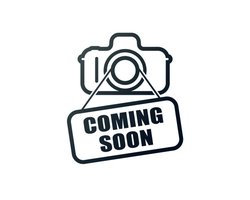 Mijn eerste bijzondere boek van alle dieren