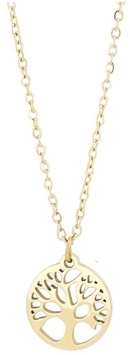 AKZENT Akzent damesketting met hanger Junia, ionenplating