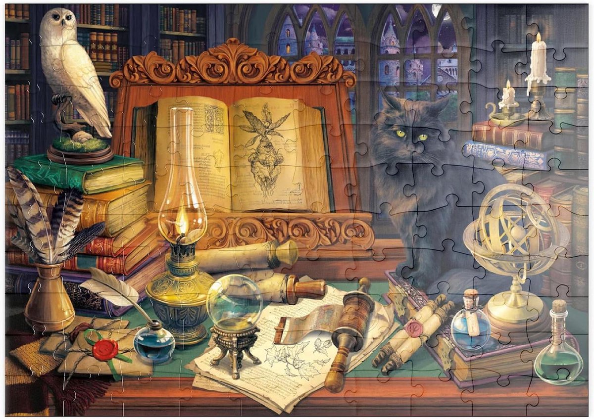 Legpuzzel Bibliotheek - Mystieke Puzzel - Ontspannen Puzzelen - Premium Karton Kwaliteit - 100 Stukjes - Multicolor