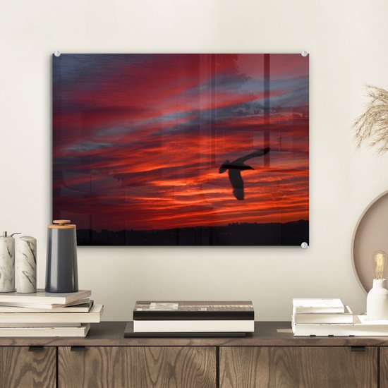 ® Glasschilderij 40x30 cm - Schilderij acrylglas - Silhouet van een stormmeeuw - Foto op glas - Muurdecoratie woonkamer - Wanddecoratie slaapkamer - Schilderijen