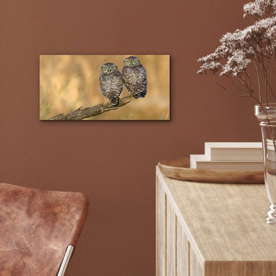 Décoration murale Métal - Peinture Aluminium Industrielle - Couple de hiboux - 40x20 cm - Dibond - Photo sur aluminium - Décoration murale industrielle - Pour le salon / chambre