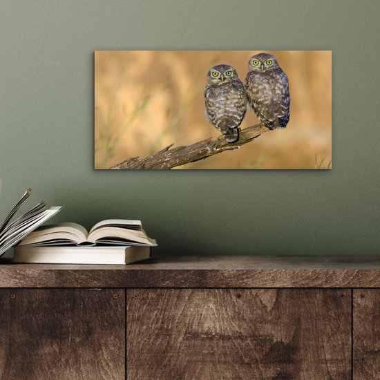 Décoration murale Métal - Peinture Aluminium Industrielle - Couple de hiboux - 40x20 cm - Dibond - Photo sur aluminium - Décoration murale industrielle - Pour le salon / chambre