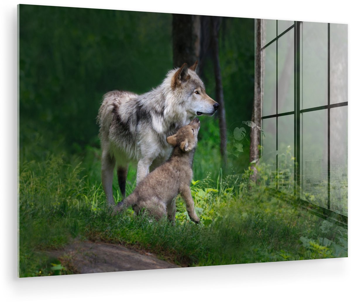 ® Glasschilderij 30x20 cm - Schilderij acrylglas - Wolf - Baby - Bos - Foto op glas - Muurdecoratie woonkamer - Wanddecoratie slaapkamer - Schilderijen