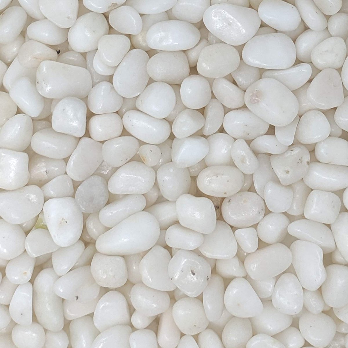 Decoratieve Witte Kiezels 20mm Grind voor Tuin, Bloemstukken en Potplanten (Klein Verpakt)
