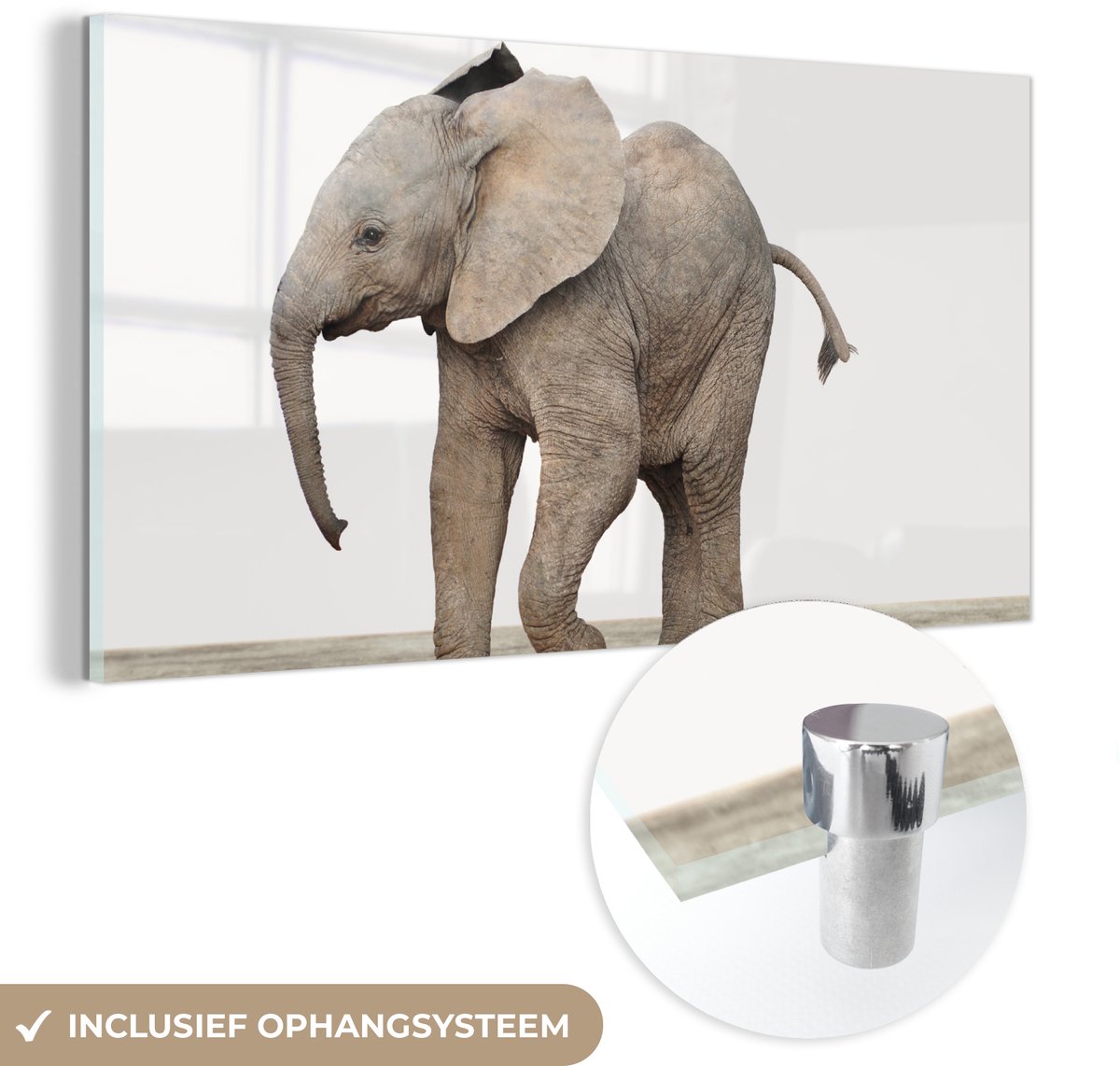 ® Glasschilderij 80x40 cm - Schilderij acrylglas - Baby olifant - Dieren - Olifant - Kinderen - Meiden - Jongens - Foto op glas - Muurdecoratie woonkamer - Wanddecoratie slaapkamer - Schilderijen