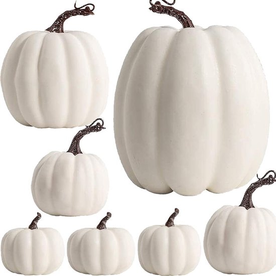 Six citrouilles blanches de différentes tailles, disposées sur un fond blanc.