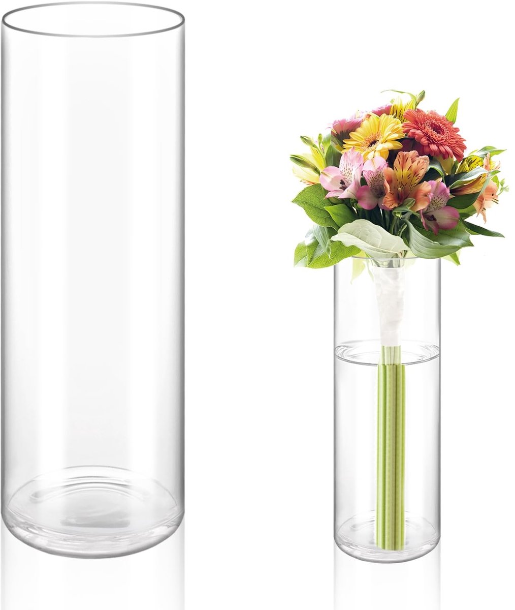 aladdien - Grote glazen vaas - Doorzichtige bloemenvaas - Stijlvolle tafeldecoratie - Cilindervorm - Geschikt voor orchideeën - 35 x 12 cm