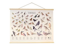 CJ Wildlife - Tuinvogels wandposter - Getekend door Elwin van der Klok - Poster vogels - Cadeau