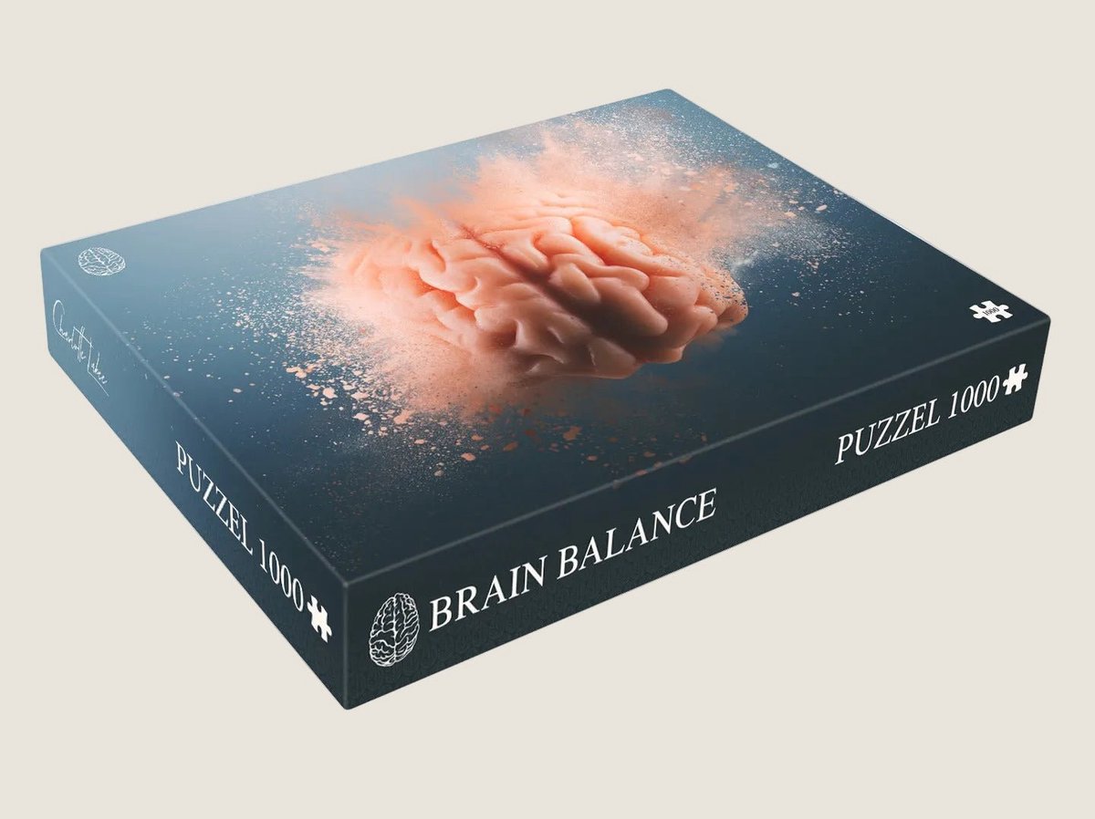 Puzzel - 1000 stukjes