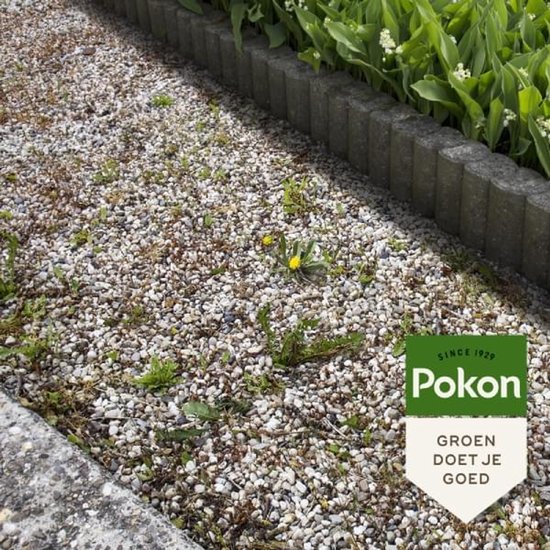 Pokon Tegen Onkruid Concentraat (450 ml) - Krachtige Onkruidverdelger - Met gratis cheatsheet van Pokon — afbeelding 2