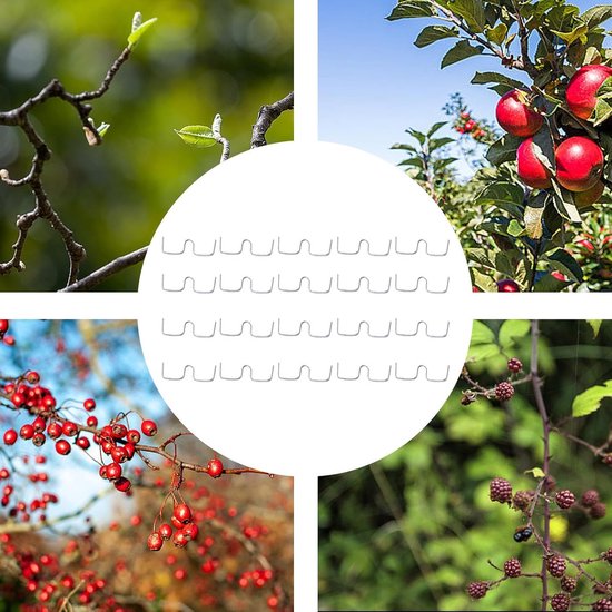 Takkenspreiders Fruitbomen - Boomvormers - Takken Sturen - Bevordert Fotosynthese - 20 Stuks - Metaal — afbeelding 3