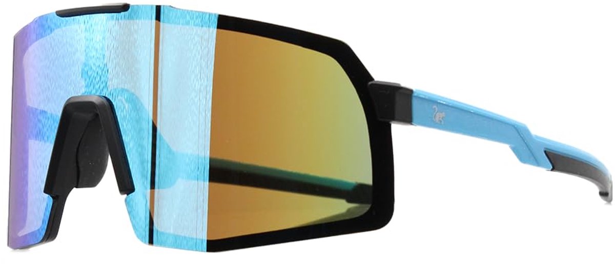 Gepolariseerde sportzonnebril - 3 verwisselbare lenzen / UV400-bescherming (blauw)