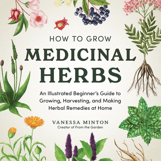 How to Grow Medicinal Herbs - cover