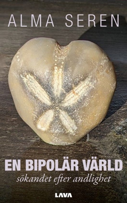 En bipolär värld : sökandet efter andlighet - cover