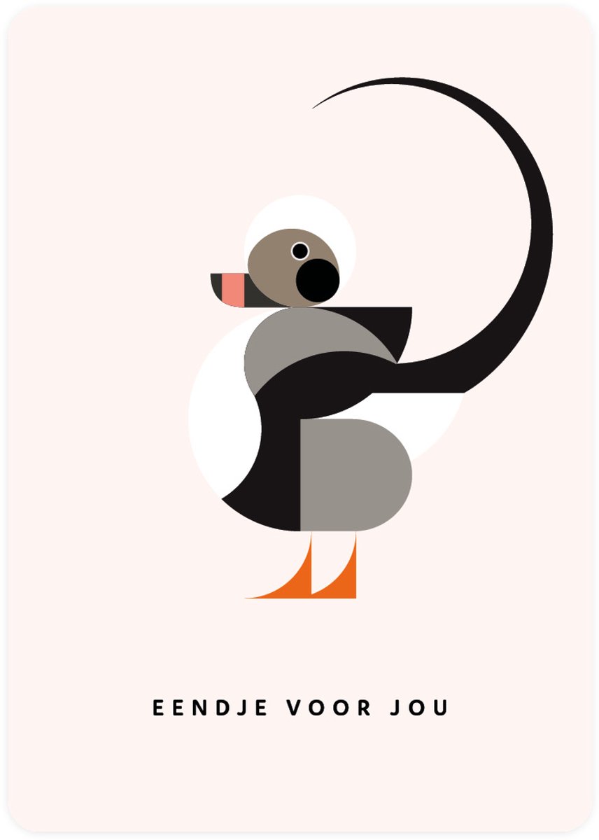 Eendje voor jou - 4x leuke kaarten om te versturen - kaartenset - kaart met IJseend - Eendje - vier kaarten met vogels