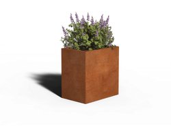 Cortenstaal Plantenbak Rechthoek | 60 x 40 x 80 | Met bodem