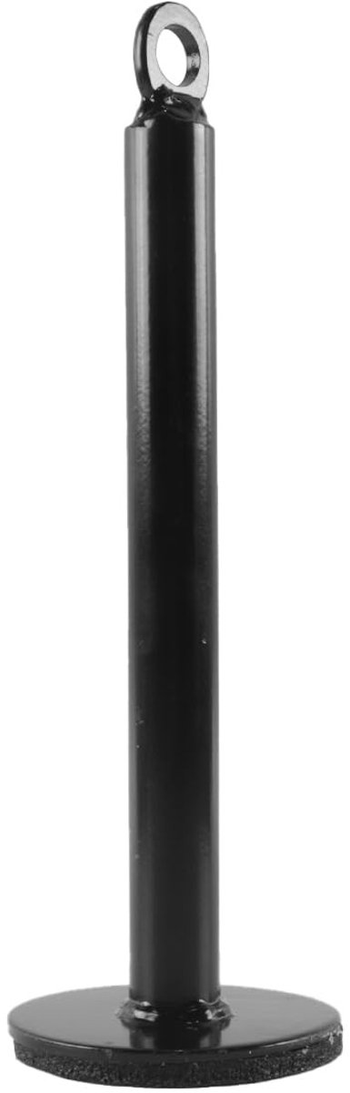 Dailygoods- Gewichtsstanglader - Oplaadpen - Roestvrij Staal - Ondersteuningsframe - Veiligheid - Fitnessapparatuur 20x220 mm - Halterschijfpen