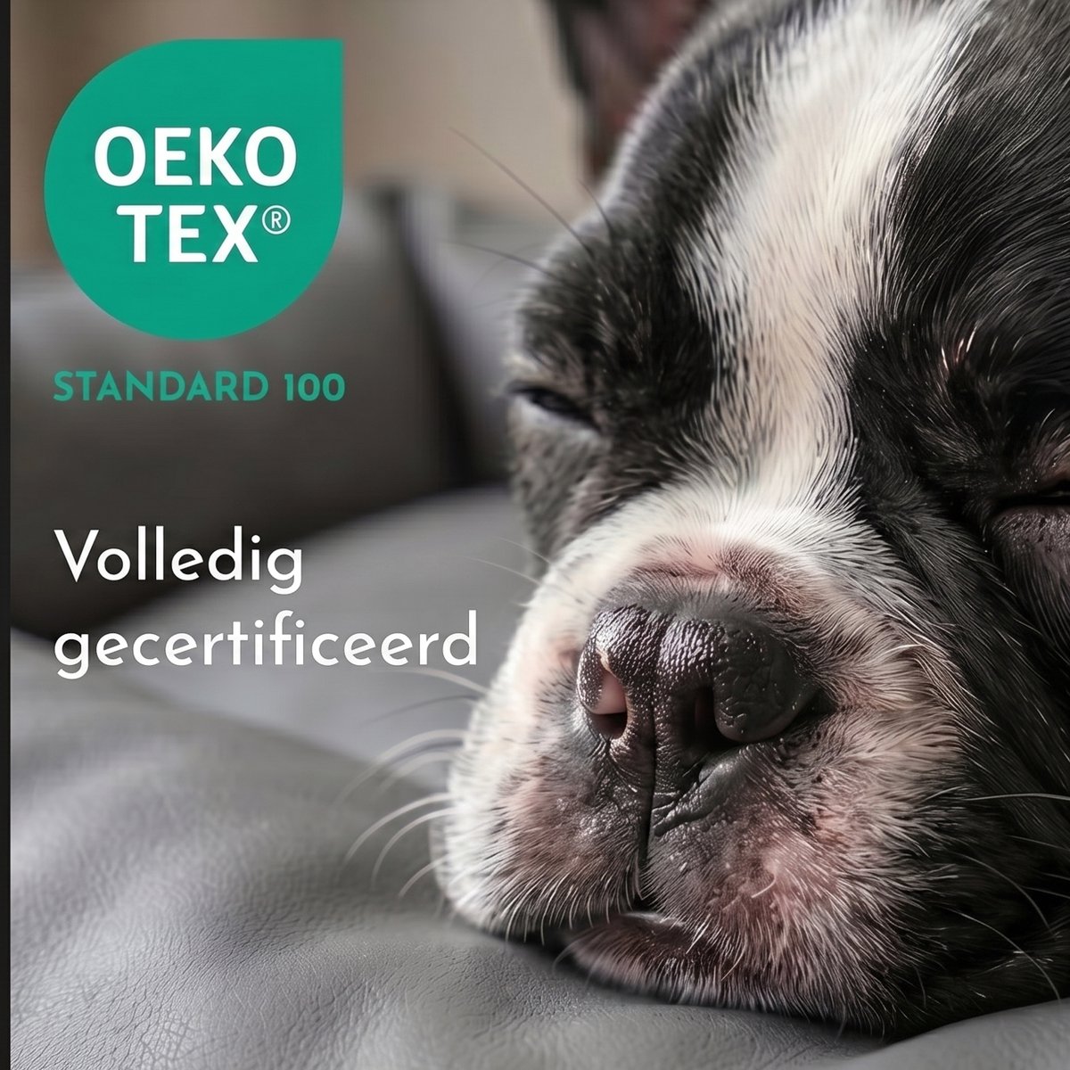 4L Textil Mario Orthopedisch hondenbed van kunstleer, XXL, hondenmand, kunstleer, voor grote honden, traagschuim, visco, extra groot, krasbestendig, waterafstotend, 140 x 110 x 25 cm, Zwart thumbnail 8