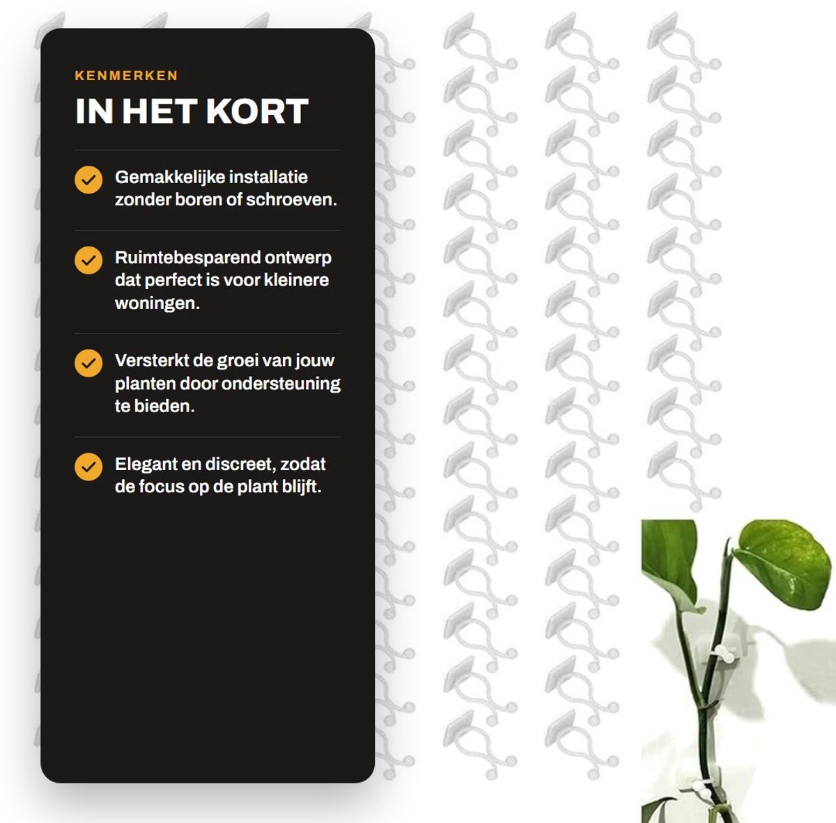 Allecto - Plantenklimmuurbevestiging - Zelfklevende Takbevestigingsclip - Ideaal voor Binnenruimtes - Wit - Ondersteuning voor Planten - Handig voo...