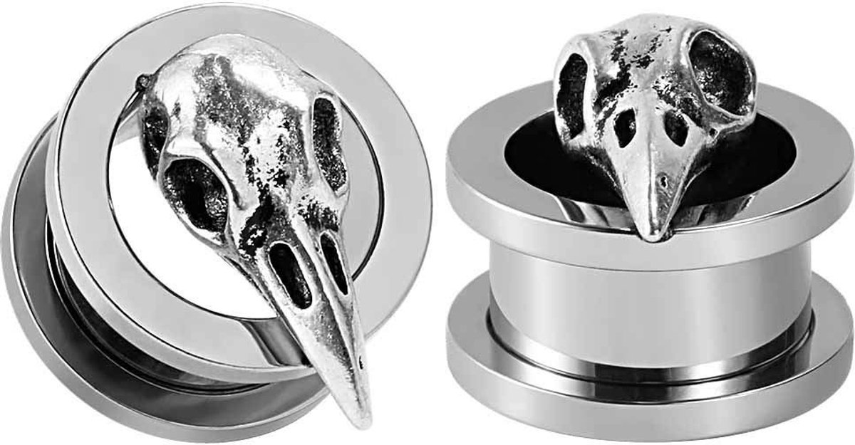 Dailygoods- Roestvrij Staal Oorplugs - 2 Oormeetinstrumenten - Hoogwaardig Materiaal - Geschenkdoos - Comfortabel en Fijn Gepolijst - Oorpluggen