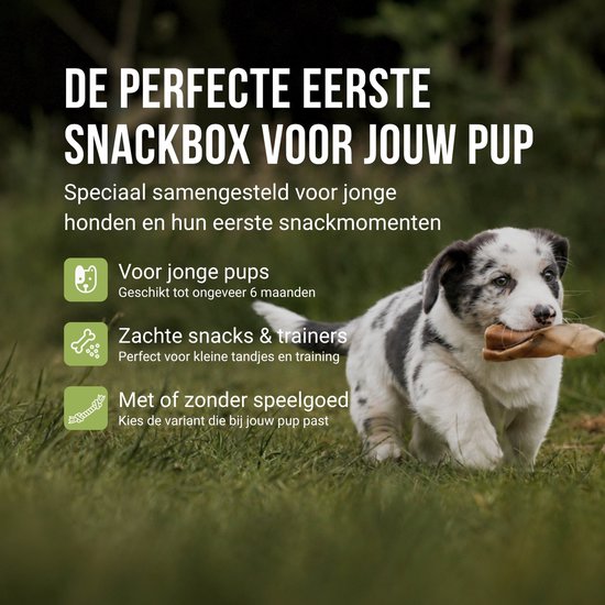 Een rennende puppy in het gras, met tekst over de perfecte eerste snackbox voor puppy's.