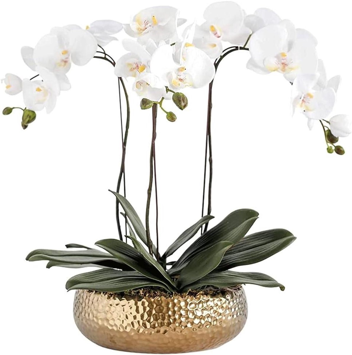Kunstorchidee Plant - Echte Look - Woondecoratie - Real Touch Bloem - 48/55 cm - Paars