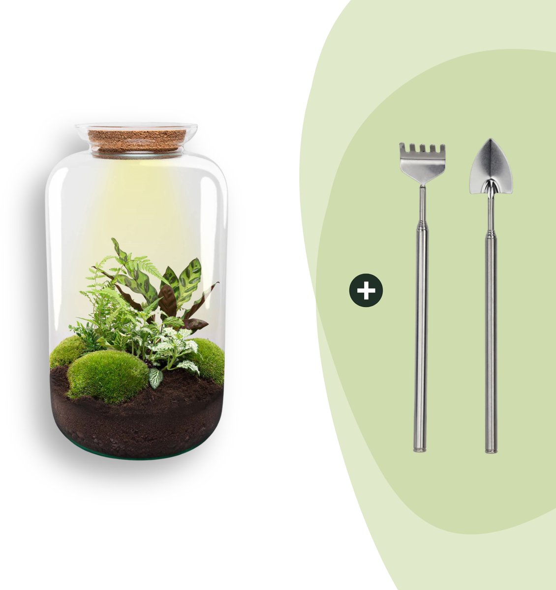 DIY terrarium - Botanical Sven XL - 43 cm -