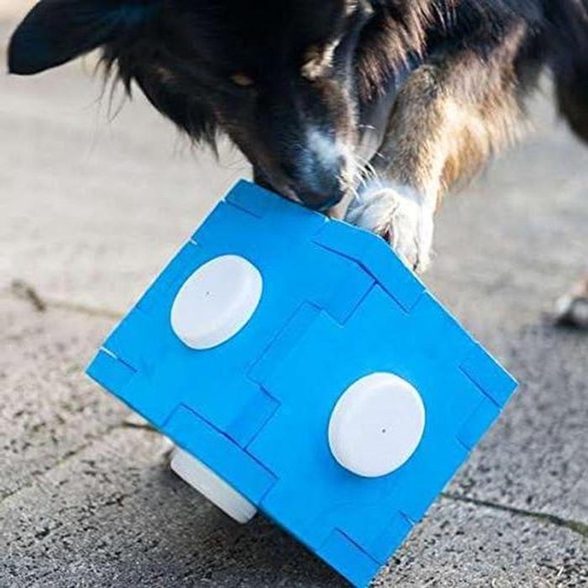 Honden snuffelkubus - Interactief hondenspeelgoed - Geurtraining Hond - Niet-giftig schuim - 17 x 17 x 17 cm - Blauw